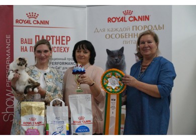 Международная выставка кошек "Малахитовая шкатулка". г. Челябинск